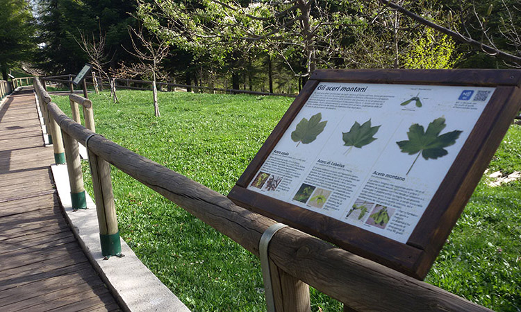 foto di uno dei pannelli visivo-tattili botanici presenti lungo il percorso del Giardino di Capracotta